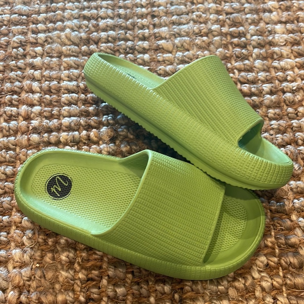 Matisse Slides